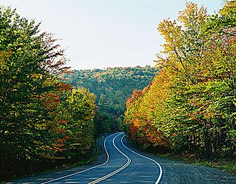 周边泄露2024年《使命召唤：黑色行动》标志设计